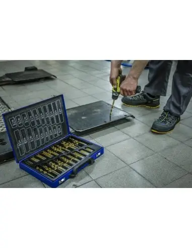 TA1313- Set 170 buc burghie din Titan HSS-TIN Tagred TAGRED Professional - Burghie si sfredele