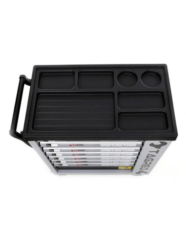 TA212- Dulap metalic , cu roti, pentru depozitarea uneltelor, 251 elemente Tagred TAGRED Professional - Dulap scule