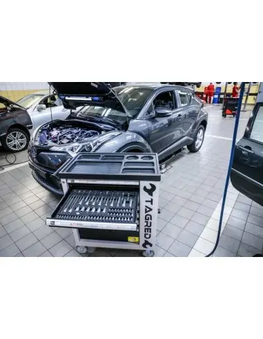 TA212- Dulap metalic , cu roti, pentru depozitarea uneltelor, 251 elemente Tagred TAGRED Professional - Dulap scule