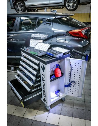 TA212- Dulap metalic , cu roti, pentru depozitarea uneltelor, 251 elemente Tagred TAGRED Professional - Dulap scule