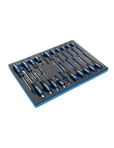 TA212- Dulap metalic , cu roti, pentru depozitarea uneltelor, 251 elemente Tagred TAGRED Professional - Dulap scule