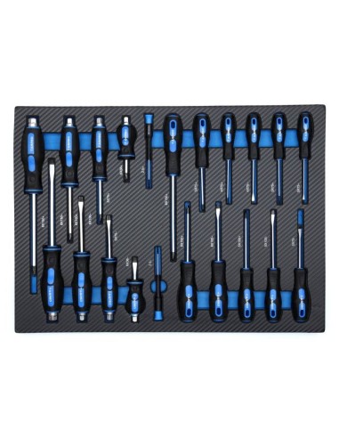 TA212- Dulap metalic , cu roti, pentru depozitarea uneltelor, 251 elemente Tagred TAGRED Professional - Dulap scule