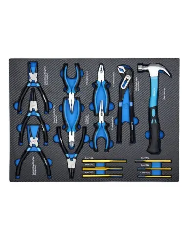 TA212- Dulap metalic , cu roti, pentru depozitarea uneltelor, 251 elemente Tagred TAGRED Professional - Dulap scule