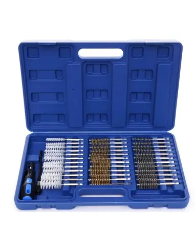 Set perii curatat chei injectoare si bujii incandescente, Tagred, 38 piese