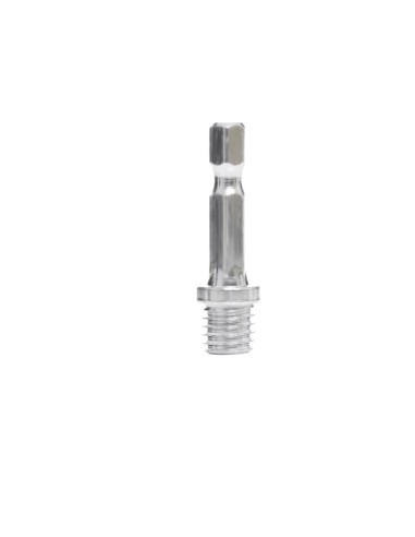 Set perii curatare pentru bormasina, Tagred, 10 piese, 1/4"