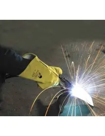 SPINUS - MANUSI DE SUDOR