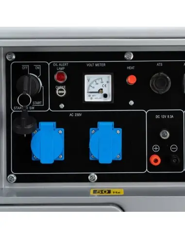Generator de curent, Tagred TA7350DS, 7350W, 50Hz, 16 l, 148 kg