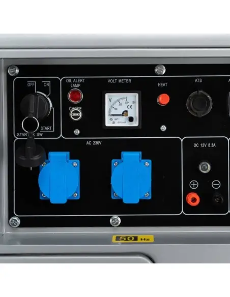 Generator de curent, Tagred TA7350DS, 7350W, 50Hz, 16 l, 148 kg