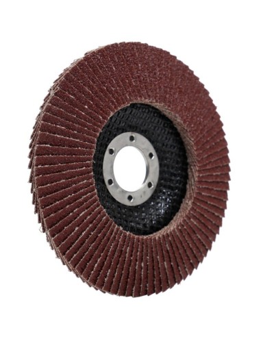 Disc slefuit metal,Tagred TA1005, 125mm/22,23mm, P60