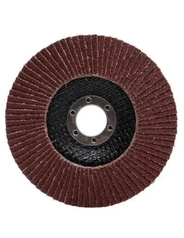 Disc slefuit metal,Tagred TA1006, 125mm/22,23mm, P100