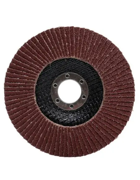 Disc slefuit metal,Tagred TA1006, 125mm/22,23mm, P100