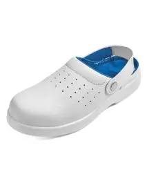 RAVEN WHITE SLIPPER SB SRC