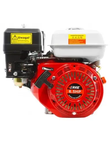 Motor termic 4 timpi, 6.5CP, V60253, Verke
