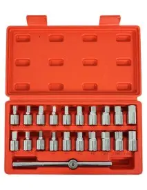 Set 21 chei, buson de ulei, V86215, Verke