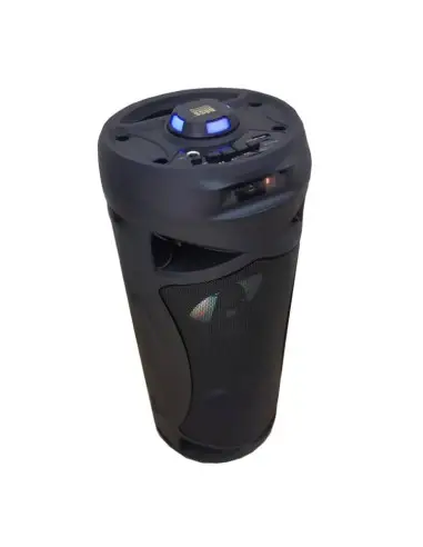 Boxa portabila, Bass Polska, cu bluetooth