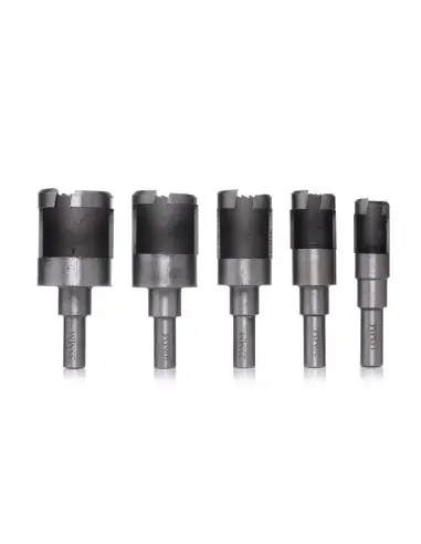 Set carote si freze pentru lemn, Kraft&Dele, KD979, 10 elemente