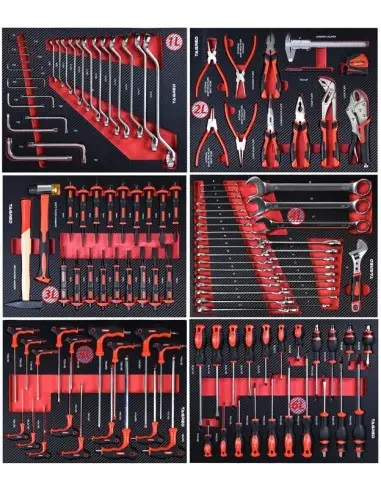 Dulap scule profesional, Tagred, TA196, 12 sertare, 541 piese