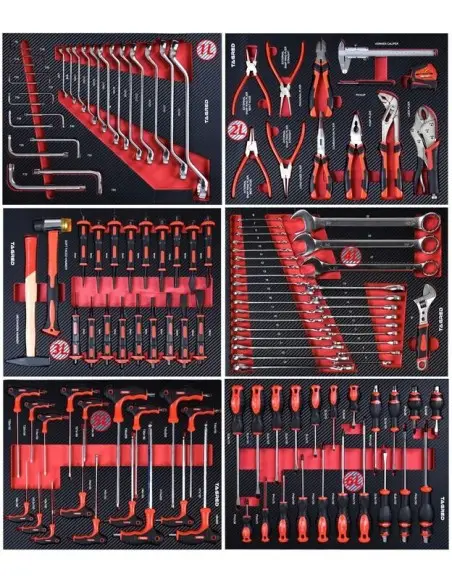Dulap scule profesional, Tagred, TA196, 12 sertare, 541 piese