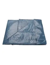 Folie prelata 2x3m, EXTOL CRAFT, 16121, PE, 100g/sqm