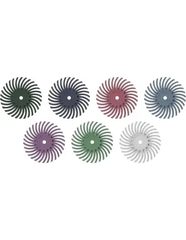 Set discuri radiale, 52pcs, 8803762, ⌀25mm, P80-P2500