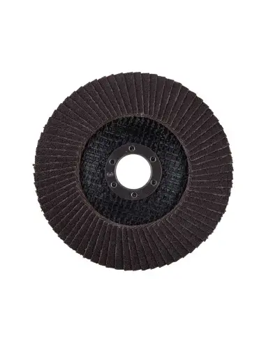 Disc abraziv corindon, EXTOL PREMIUM, 8803473, O125mm, P60