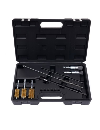 Set de perii pentru curatarea locurilor de injectoare, KD10048