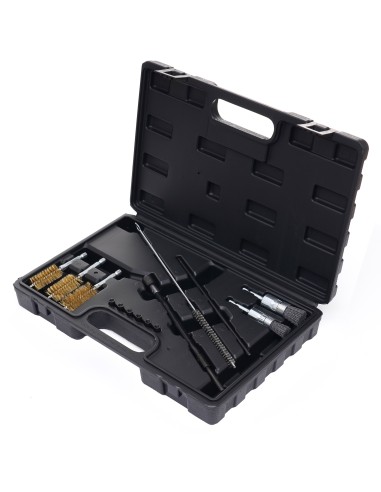 Set de perii pentru curatarea locurilor de injectoare, KD10048