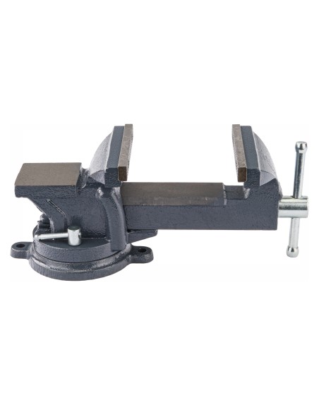 Menghina de lacatuserie 125 mm rotativa cu nicovala, PM1236