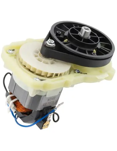 Motor pentru masina de tuns iarba, RED TECHNIC, RTKSE0027-SI